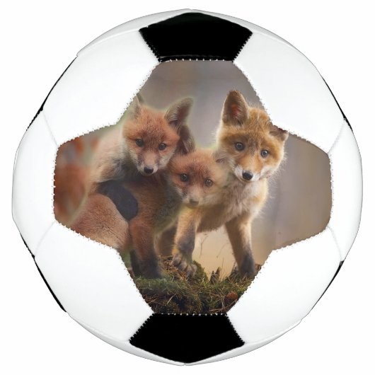 Foxy-Triplets Fußball (Vorderseite)