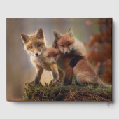 Foxy-Triplets Gästebuch (Rückseite)