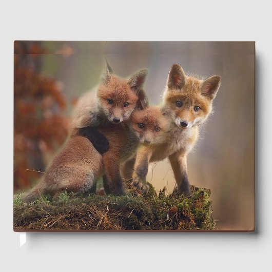 Foxy-Triplets Gästebuch (Vorderseite)