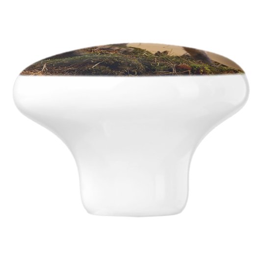 Foxy-Triplets Keramikknauf (Seitenansicht)