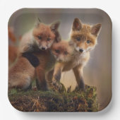 Foxy-Triplets Pappteller (Vorderseite)