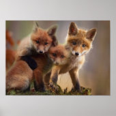 Foxy-Triplets Poster (Vorne)