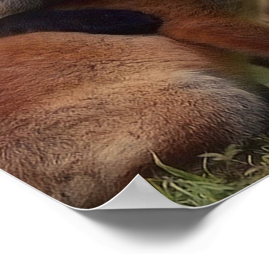 Foxy-Triplets Poster (Ecke)