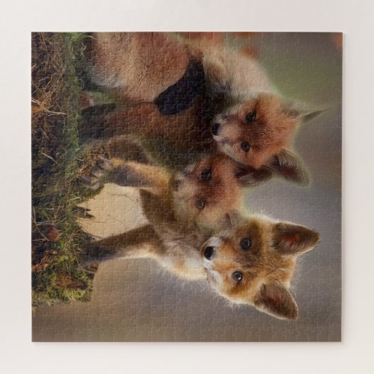 Foxy-Triplets Puzzle (Horizontal)