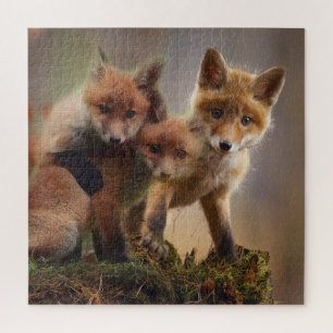 Foxy-Triplets Puzzle