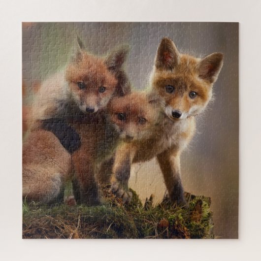 Foxy-Triplets Puzzle (Vertikal)