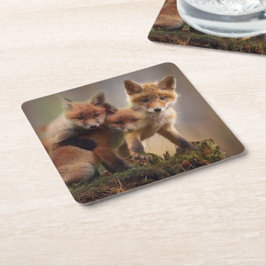 Foxy-Triplets Rechteckiger Pappuntersetzer (angewinkelt)