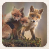 Foxy-Triplets Rechteckiger Pappuntersetzer (Vorderseite)