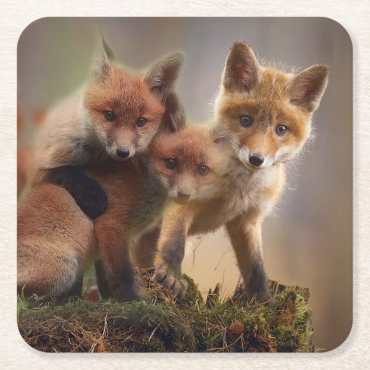Foxy-Triplets Rechteckiger Pappuntersetzer (Vorderseite)