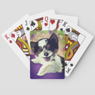 Foxy's Happy Dog Face Spielkarten
