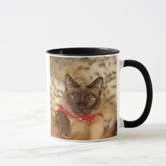 FPG Weihnachten Tonkinese 2 - Tasse