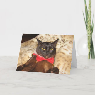 FPG Weihnachtsbirmane 1 (freier Raum) Feiertagskarte