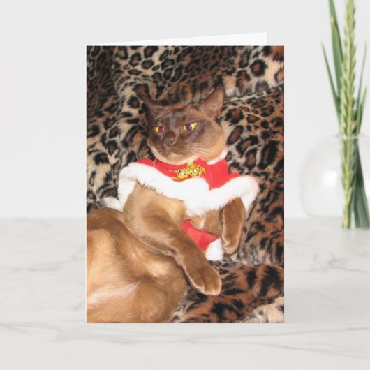 FPG Weihnachtsbirmane 2 - Feiertagskarte (Vorderseite)