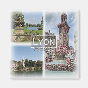 FR0120 Europa, Frankreich, Lyon, Kühlschrank Magnet
