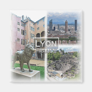 FR0121 Europa, Frankreich, Lyon, Kühlschrank Magnet