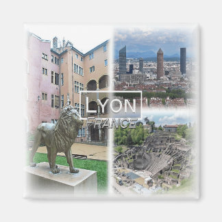 FR0121 Europa, Frankreich, Lyon, Kühlschrank Magnet