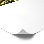 Fracamaska Fraktal Poster (Ecke)