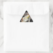 Fracguana Dreieckiger Aufkleber (Tasche)
