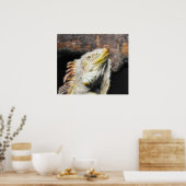 Fracguana Poster (Küche)