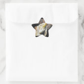 Fracguana Stern-Aufkleber (Tasche)