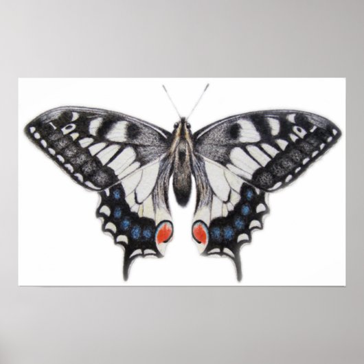 Frack 2012 poster (Vorne)