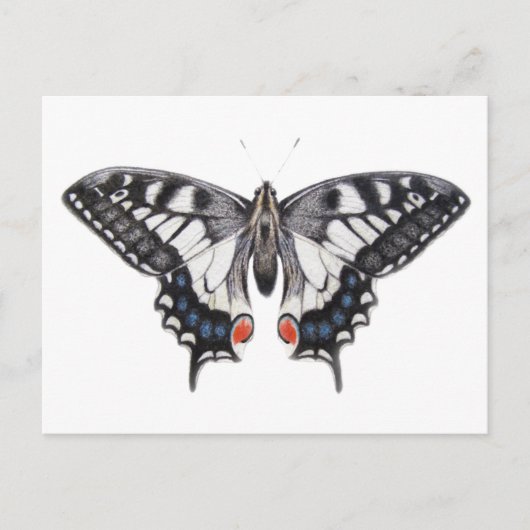 Frack 2012 postkarte (Vorderseite)