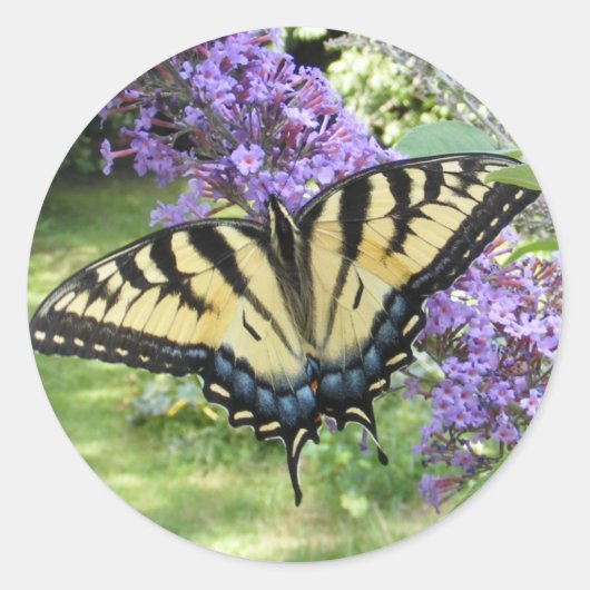 Frack 94 ~ Aufkleber (Vorderseite)