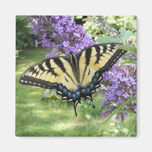 Frack 94 ~ Magnet (Vorne)