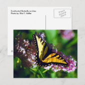 Frack auf der Postkarte von Lilac (Vorne/Hinten)