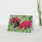 Frack Butterfliegen auf Red Penta-Blume Karte (Vorderseite)