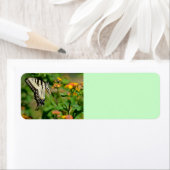 Frack Butterfly (Insitu)