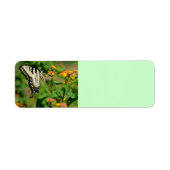 Frack Butterfly (Vorne)