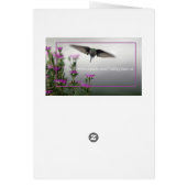 Frack Butterfly (Hinten)