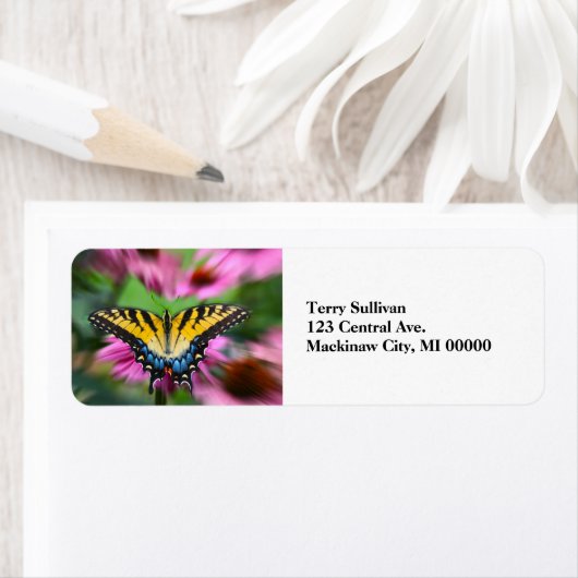 Frack Butterfly (Insitu)