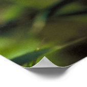 Frack Butterfly and Bee auf einer Blume. Poster (Ecke)
