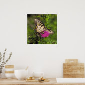 Frack Butterfly and Bee auf einer Blume. Poster (Küche)