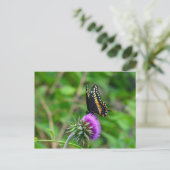 Frack Butterfly and Thistle Postkarte (Stehend Vorderseite)