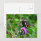 Frack Butterfly and Thistle Postkarte (Vorne/Hinten)