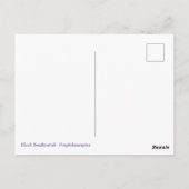 Frack Butterfly and Thistle Postkarte (Rückseite)