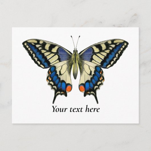 Frack Butterfly Aquarellbilder Postkarte (Vorderseite)