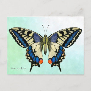 Frack Butterfly Aquarellbilder Postkarte