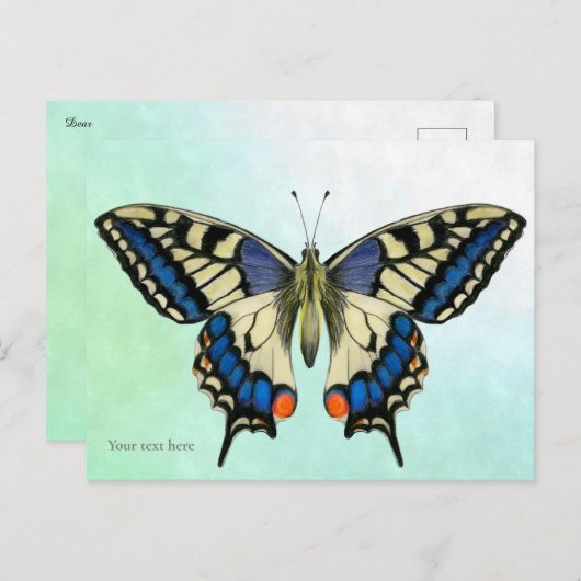 Frack Butterfly Aquarellbilder Postkarte (Vorne/Hinten)