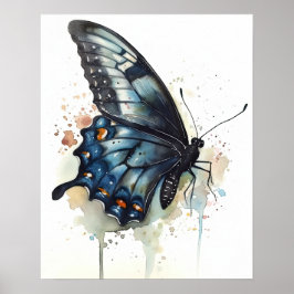 Frack Butterfly Art Print Poster