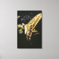 Frack Butterfly auf Blume, nah