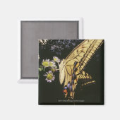 Frack Butterfly auf Blume, nah Magnet (Vorderseite/Rückseite)