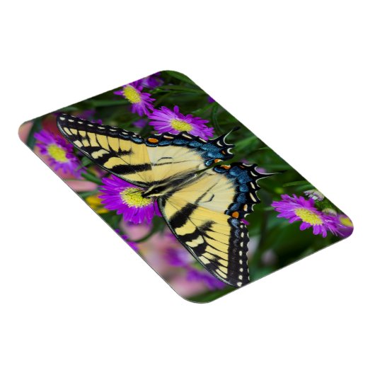 Frack Butterfly auf dem Fleck Magnet (Rechte Seite)