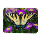 Frack Butterfly auf dem Fleck Magnet (Horizontal)