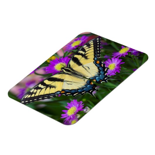Frack Butterfly auf dem Fleck Magnet (Linke Seite)