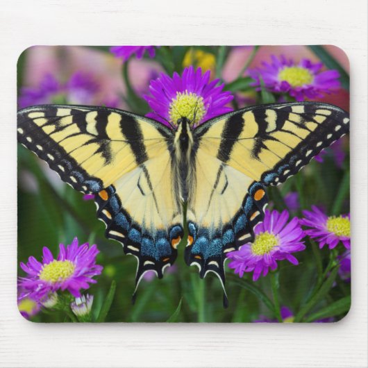 Frack Butterfly auf dem Fleck Mousepad (Vorne)
