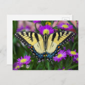 Frack Butterfly auf dem Fleck Postkarte (Vorne/Hinten)